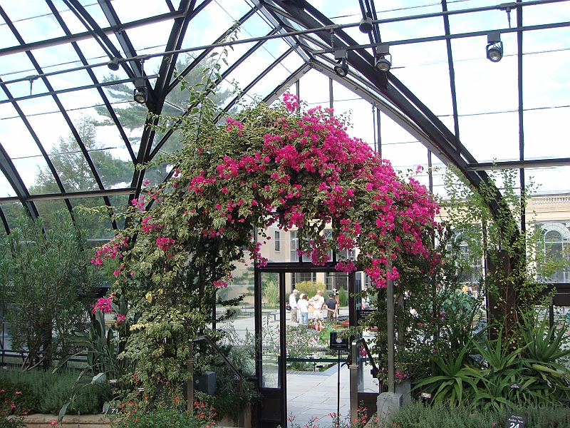 308 Longwood Gardens [2008 August 23].JPG - Longwood Gardens in Pennsylvania